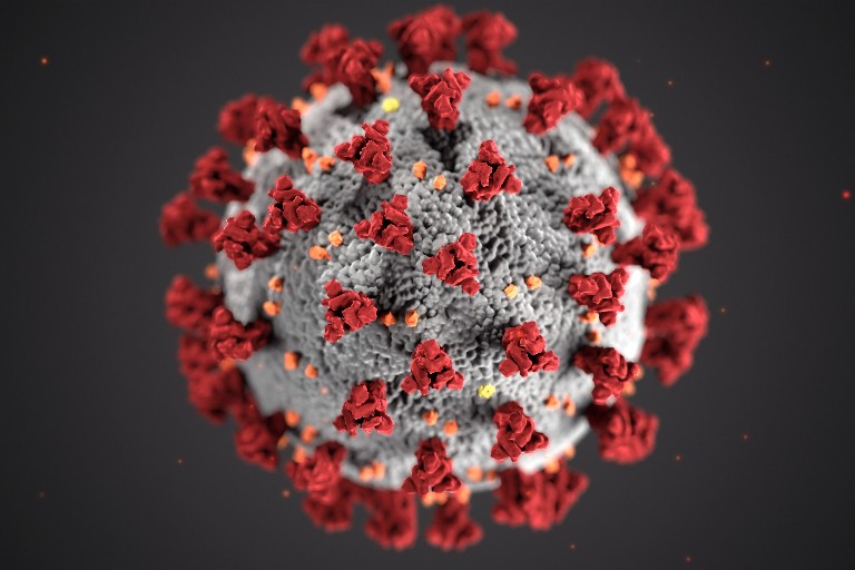 Artist rendering of coronavirus (photo from CDC)